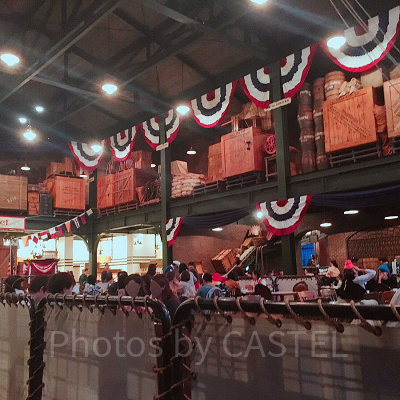 セイリングデイ・ブッフェの背景＆ストーリー