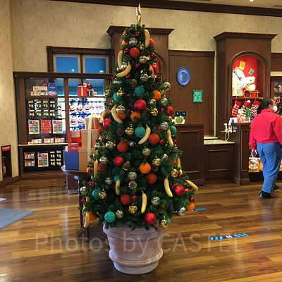 サンフランシスコキャンディーズのバナナツリー