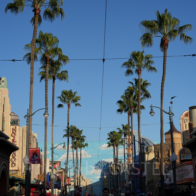 カリフォルニア・アナハイムディズニーの風景