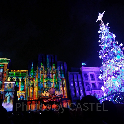 特別鑑賞エリア（通常）の右端から見たクリスマスツリーの風景