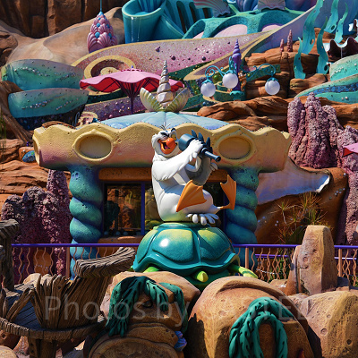 スカットルはこのカモメ