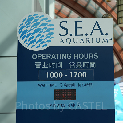 シーアクアリウム:営業時間