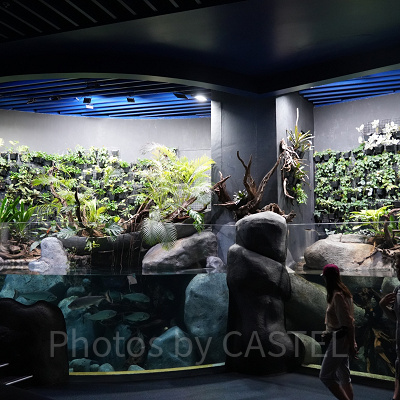 シーアクアリウム:クァーキー・アダプション