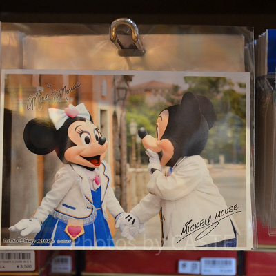 シー限定写真