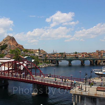 シニアパスポート