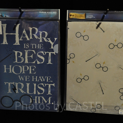 Harry’s Glasses（ハリーズグラッシーズ）のクリアファイル2枚セット