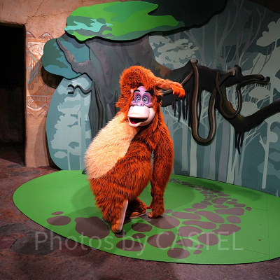 上海ディズニーランド:ジャングルブックのキング・ルーイとのグリーティング