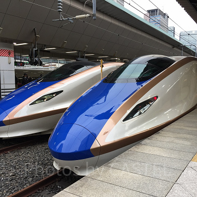 期間限定で新幹線が半額！