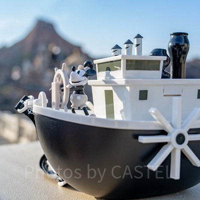 アトラクションとして利用できる船