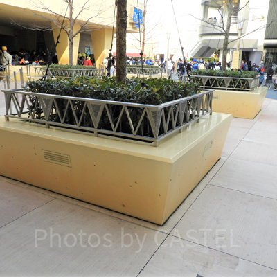 隠れミッキーがある植え込み