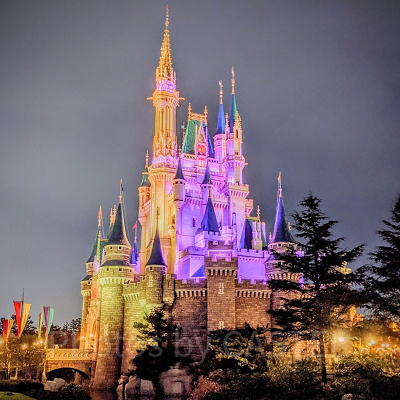 横から見たシンデレラ城