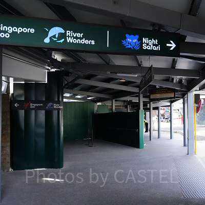 シンガポール3大動物園：1日で回れる？