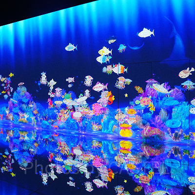 スケッチオーシャン（チームラボボーダレス麻布台）