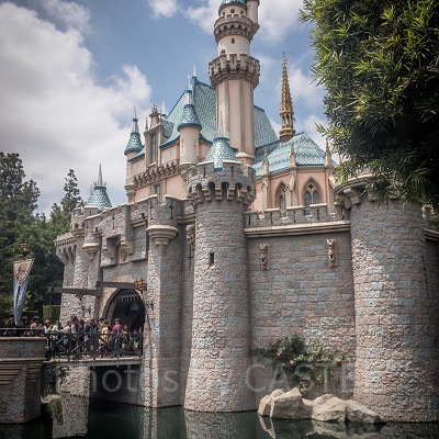 『眠れる森の美女』60周年