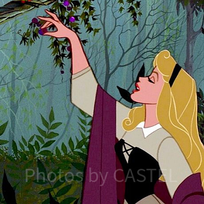 眠れる森の美女のあらすじ