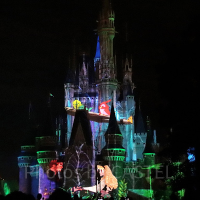 眠れる森の美女