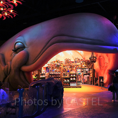 東京ディズニーシーのスリーピーホエールショップ