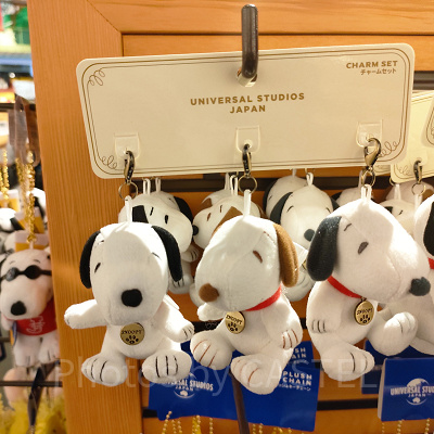 スヌーピーキーチェーンセット