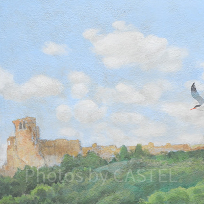 ソアリンの隠れミッキー