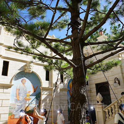 ソアリンのQライン