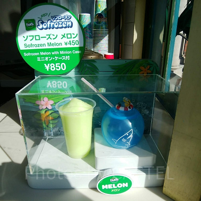 ミニオンケース付ソフローズン