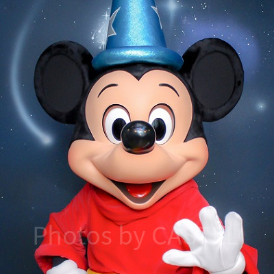 魔法使いの弟子