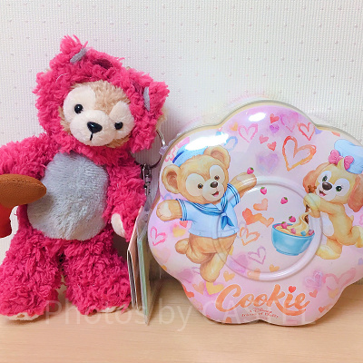 香港ディズニーランドのお土産