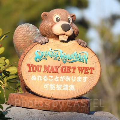 スプラッシュ・マウンテンと言えば滝つぼへの落下！