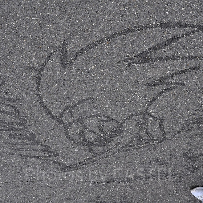 USJクルーが描いたウッディ・ウッドペッカーのスプレーイラスト