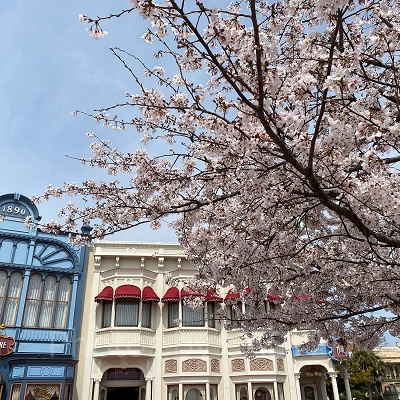 2026年の春休みディズニー：混雑予想