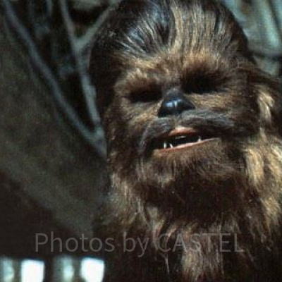 スターウォーズ・チューバッカ