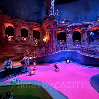 スターフィッシュ・プレイペン（アリエルのプレイグラウンド）