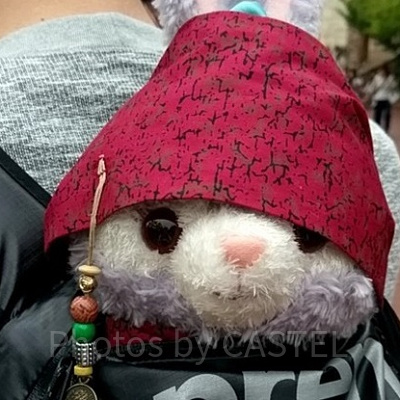 ステラ・ルーも海賊に大変身