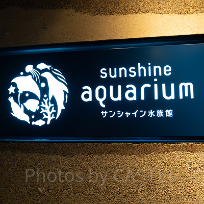 サンシャイン水族館