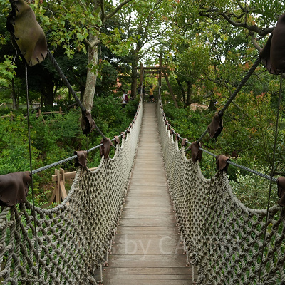 つり橋