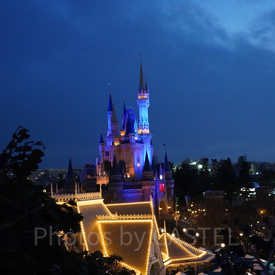 スイスファミリー・ツリーハウス：夜のシンデレラ城