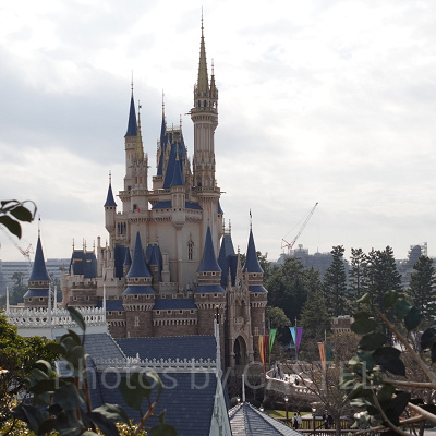 スイスファミリー・ツリーハウス：昼のシンデレラ城