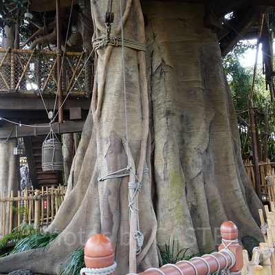 スイスファミリー・ツリーハウス：大木の幹