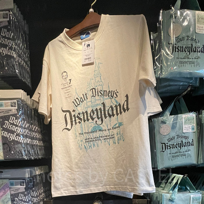 Ｔシャツ（ディズニー100周年グッズ）