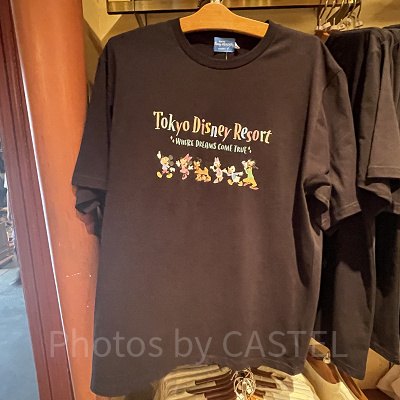 Tシャツ(ディズニーシー)