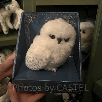 おしゃべりヘドウィグ