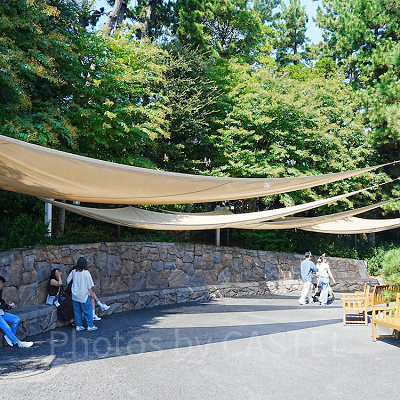 パークに設置されたタープ