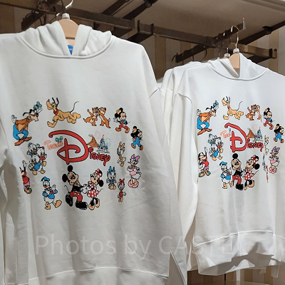 チームディズニーパーカー