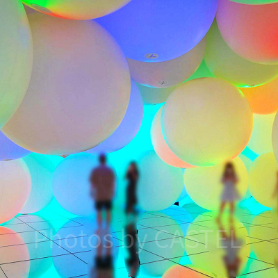 チームラボフォレスト：チケット情報