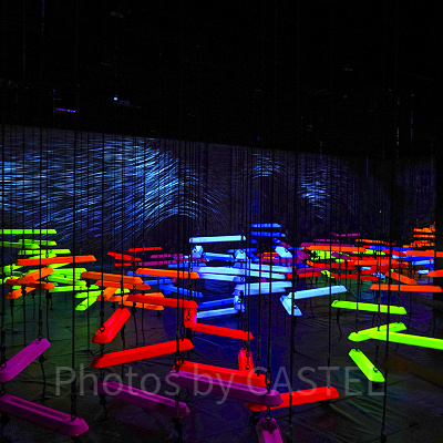 チームラボお台場の「運動の森」エリア（アスレチック的な要素あり）