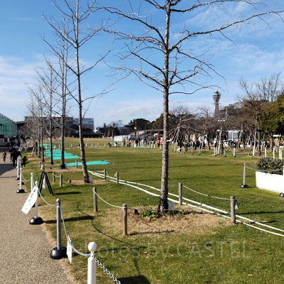 てんしばの芝生広場