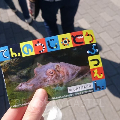天王寺動物園の入園チケットの半券