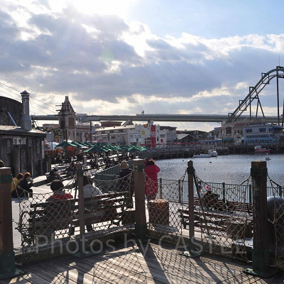 ラグーン沿いテラス