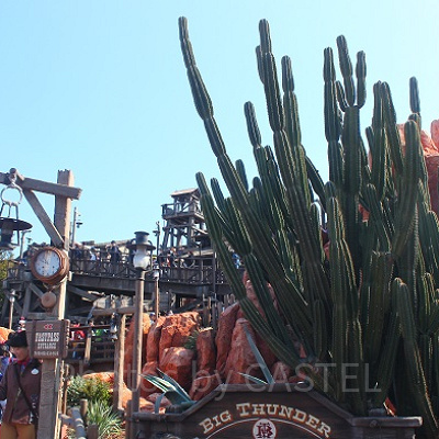 ビッグサンダーマウンテンがあるあのエリア