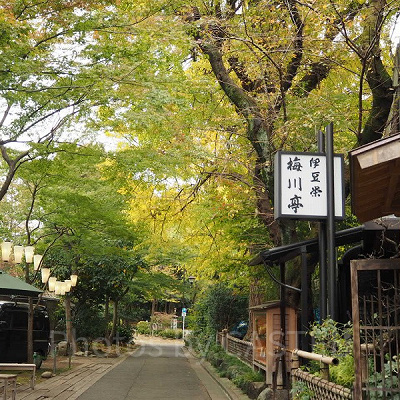 上野公園の紅葉はとっても綺麗ですよ！